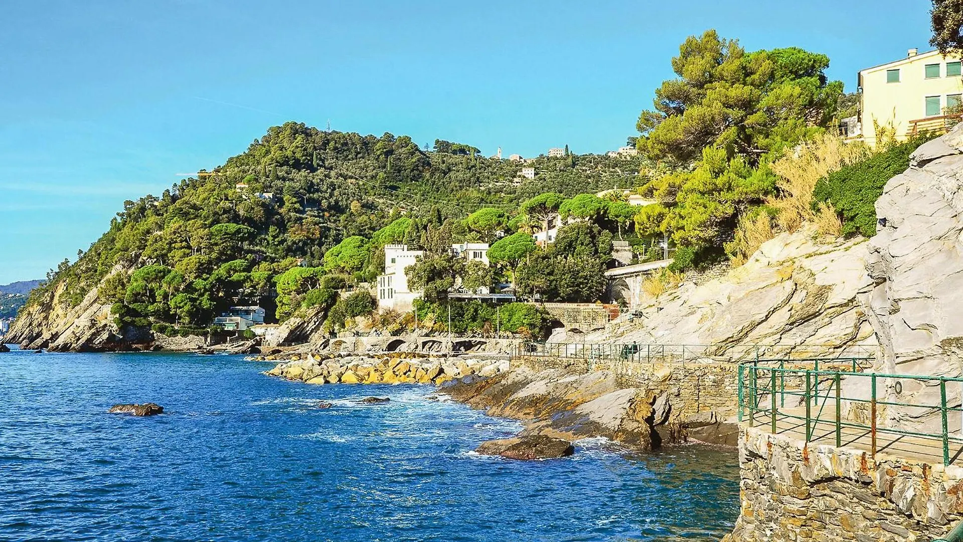 Amazing Apartment In Zoagli With Wifi